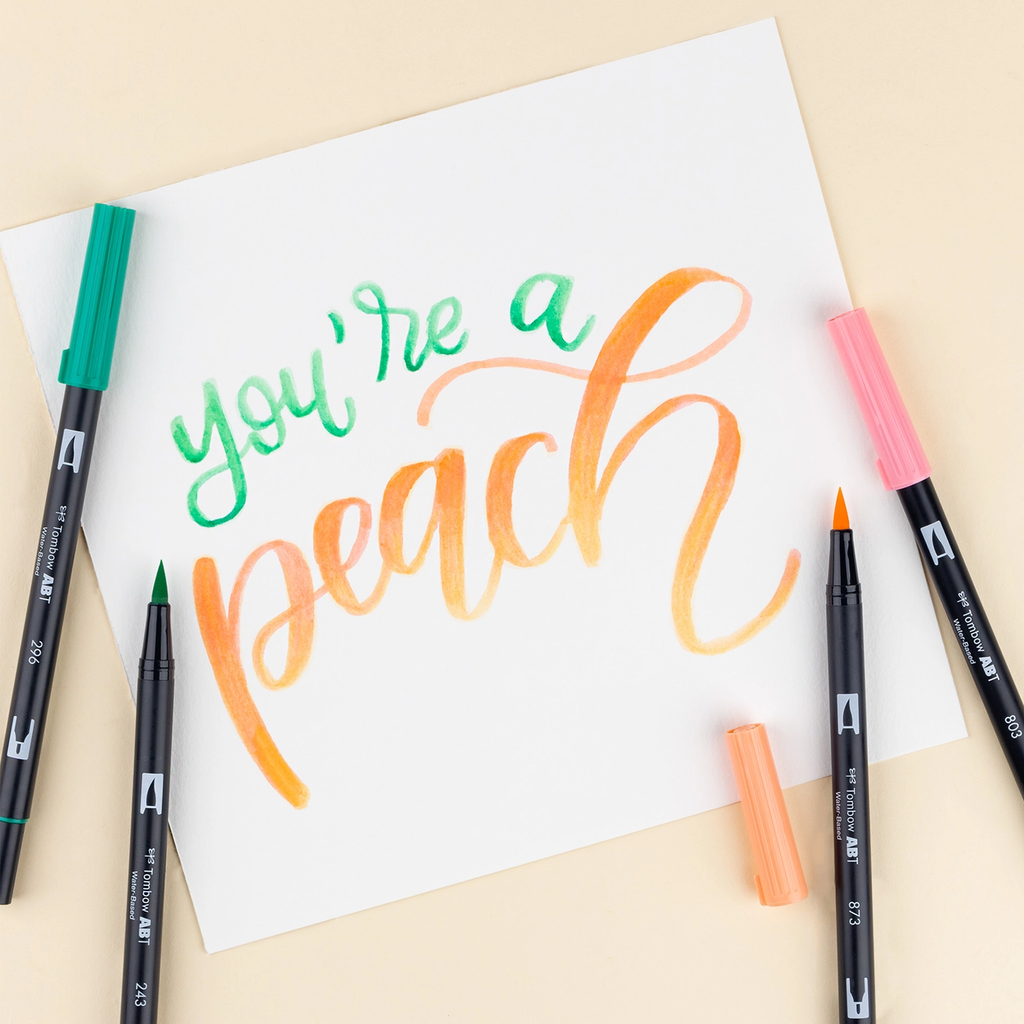 TOMBOW DUAL BRUSH PEN ART MARKERS - JUST PEACHY (Set of 6) – Live Love Posh