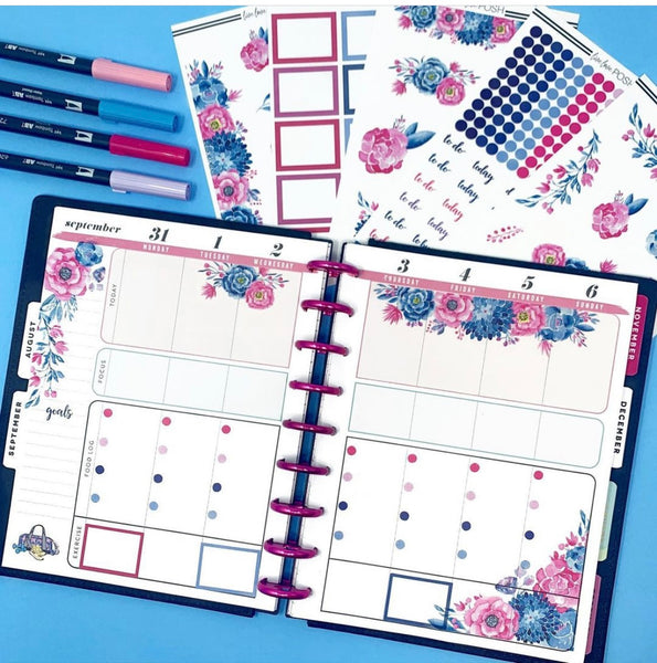 COTTON CANDY WILDFLOWER COLLECTION