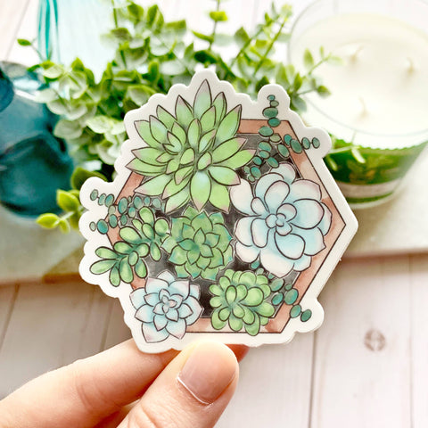 SUCCULENT PLANTER DIE CUT STICKER