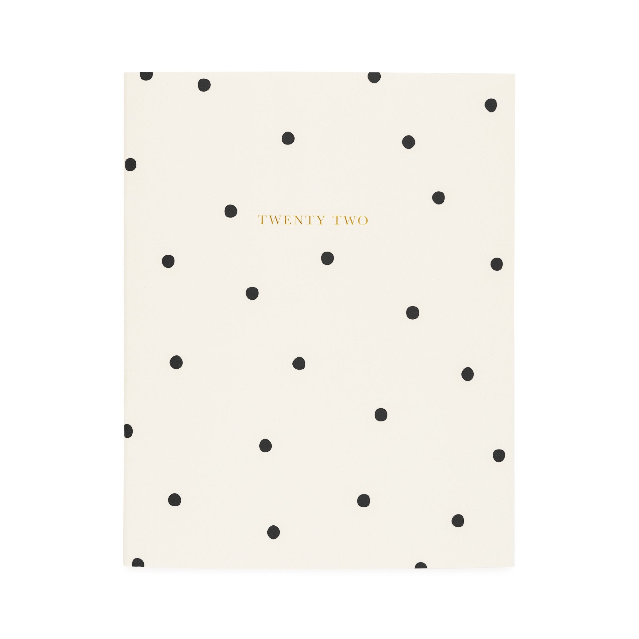 2022 MONTHLY PLANNER - SCATTER DOT